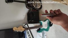 SE BUSCA CANTANTE PARA TOCAR EN BARES Y HACER BUSKING.