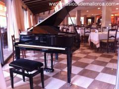 Pianistas y pianos de cola