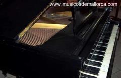 Se ofrece pianista para hoteles y eventos