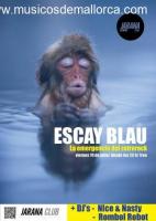 ESCAY BLAU