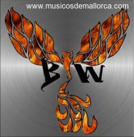 Se busca 4 cuerdas para grupo de Metal Alternativo