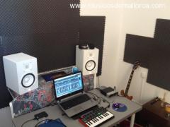 Se buscan componentes para proyecto musical