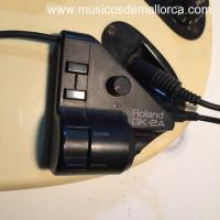 Pedalera Midi Roland GR-30 - Sintetizador para guitarra