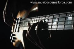 Grupo experimental heavy-thrash-punk busca bajista