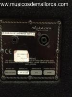 Pantalla Ashdown MAG 410T DEEP